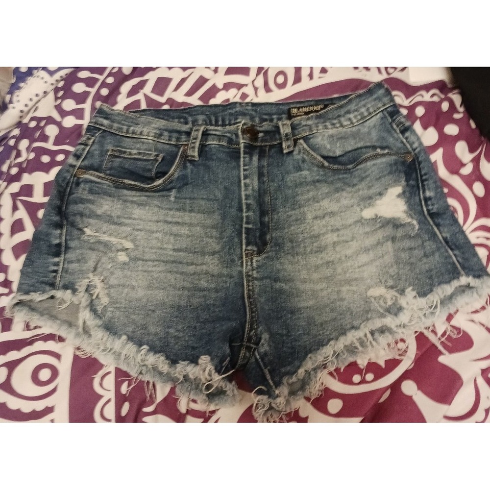 Blank NYC The Lenox Distressed Jean Shorts, Size 27